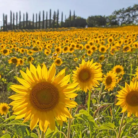 Gorgeous In Pieve Santo Stefano Ar With Wifi Holiday home *